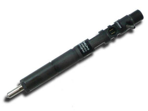 DELPHI Common Rail Injector EMBR 00101D